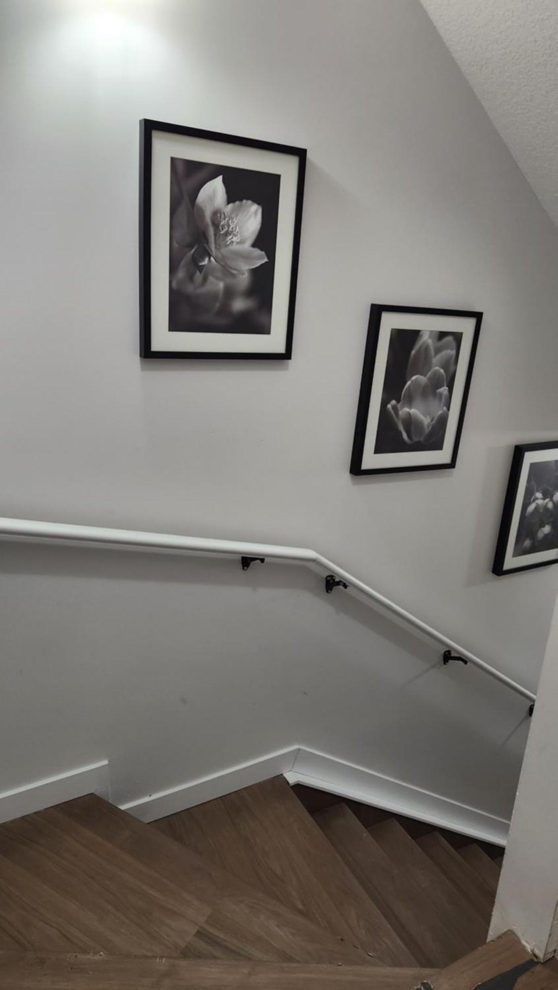 Modern 2 Bedroom Basement Suite At West Edmonton Kültér fotó