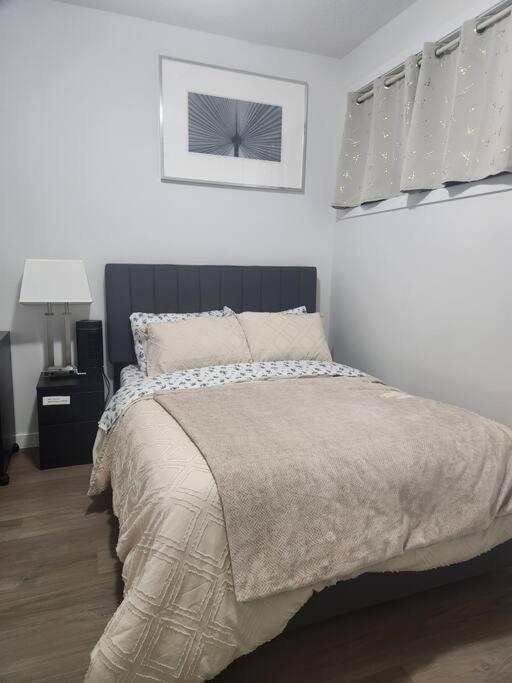 Modern 2 Bedroom Basement Suite At West Edmonton Kültér fotó