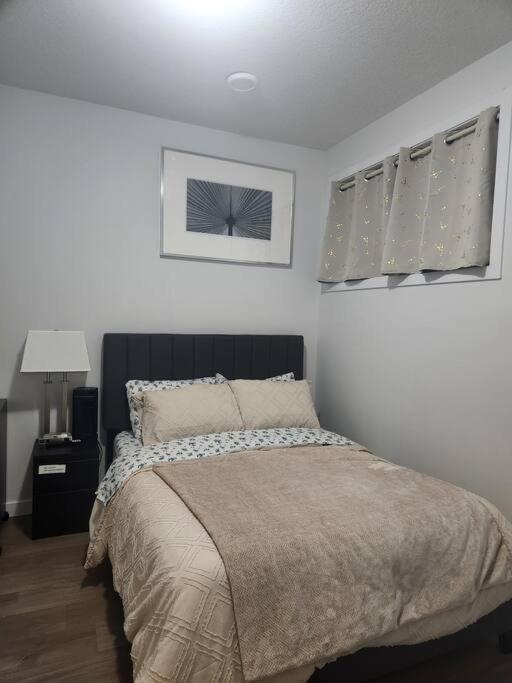 Modern 2 Bedroom Basement Suite At West Edmonton Kültér fotó